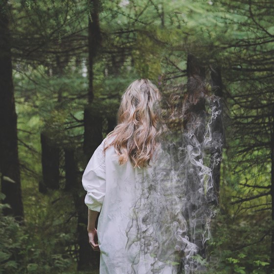 Free: Smoke Dispersion